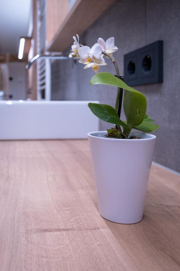 Apartment Haus Schoenwies Alpbach Exterior photo